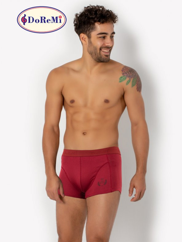 Erkek Boxer - Resim 6