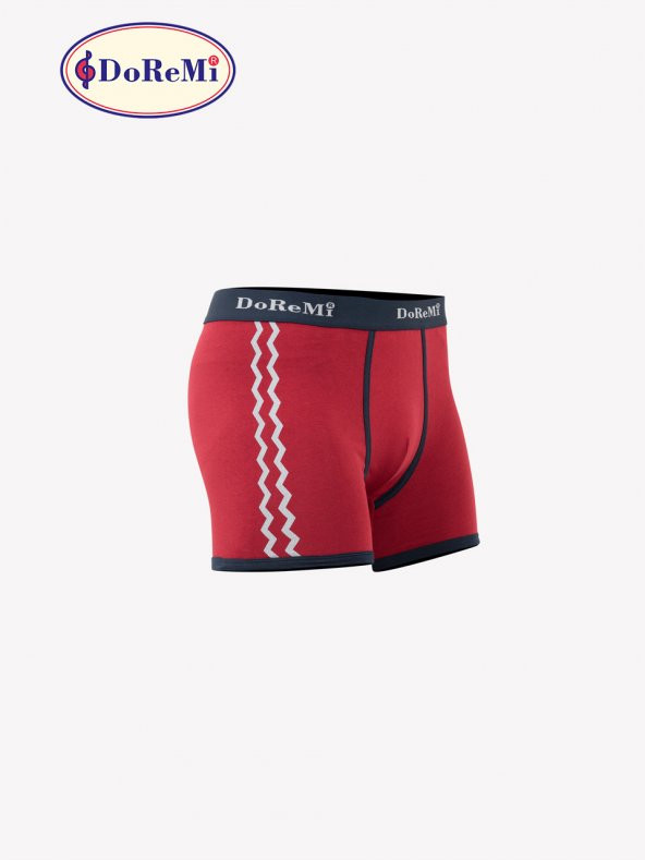 Erkek Boxer - Resim 2