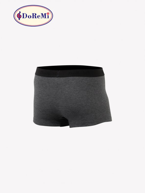 Erkek Boxer - Resim 2