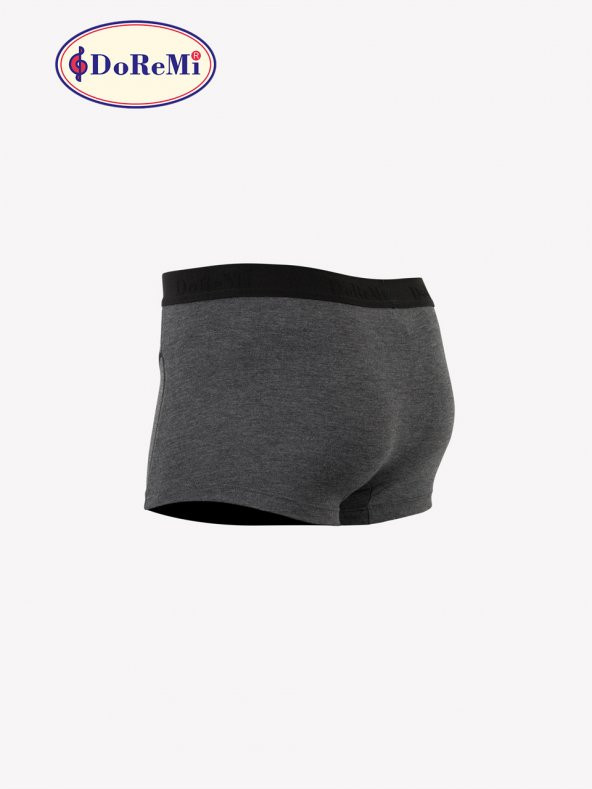 Erkek Boxer - Resim 3