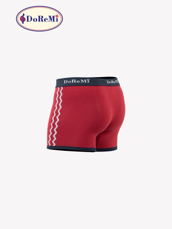 Erkek Boxer - Resim 4