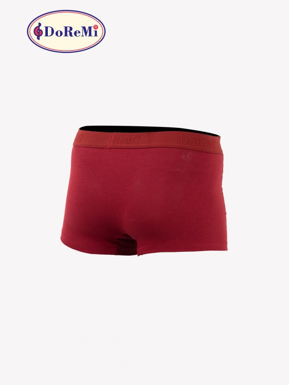 Erkek Boxer - Resim 3