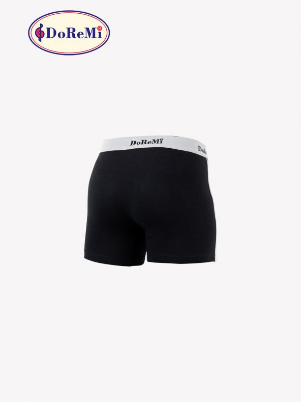 Erkek Boxer - Resim 4