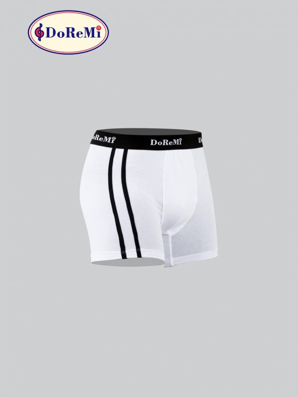 Erkek Boxer - Resim 2