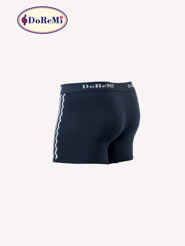 Erkek Boxer - Resim 4