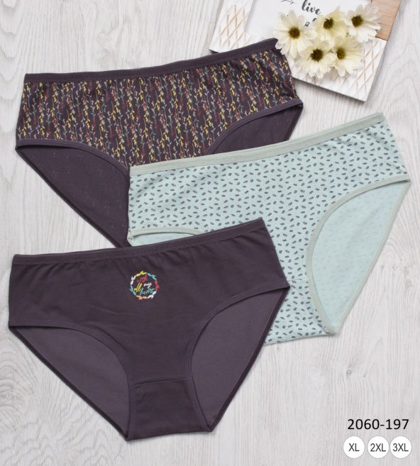 BAYAN KÜLOT-BİG SİZE (3li Paket) ürün görseli