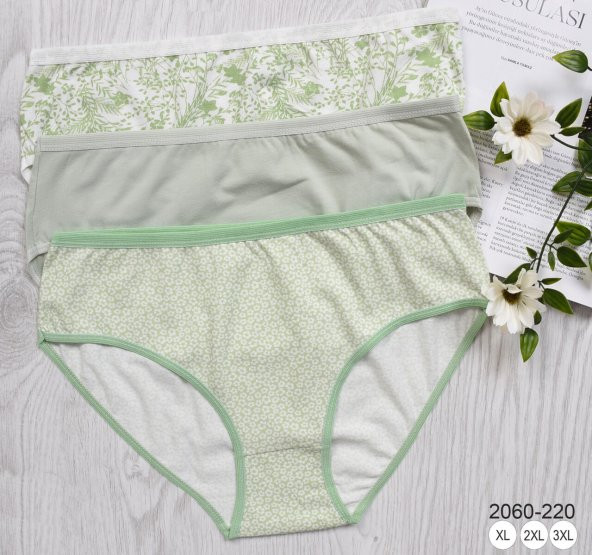 BAYAN KÜLOT-BİG SİZE (3li Paket) ürün görseli