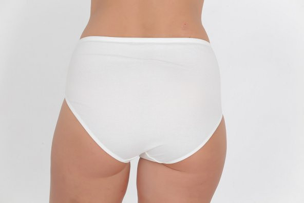 Ön ve Arka Dantel Detaylı Günlük Kadın Külot Ekru - Resim 3