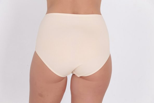 Dantel ve Fiyonk Detaylı Kadın Günlük Külot Ten - Resim 3