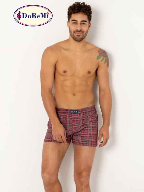 Erkek Boxer - Resim 2