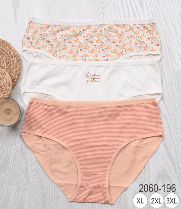 BAYAN KÜLOT-BİG SİZE (3li Paket) ürün görseli