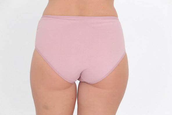 Dantel Detaylı Günlük Kadın Külot Gül Kurusu - Resim 3