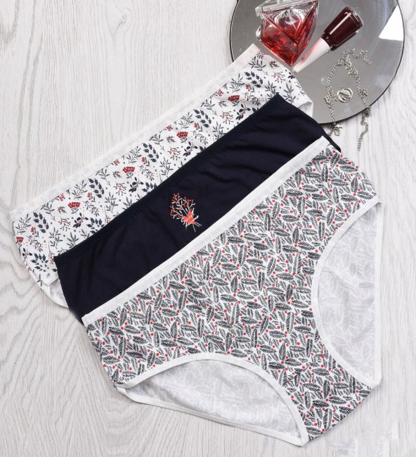 BAYAN KÜLOT-BİG SİZE (3li Paket) ürün görseli