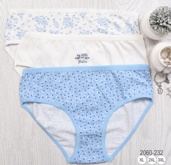 BAYAN KÜLOT-BİG SİZE (3li Paket) ürün görseli