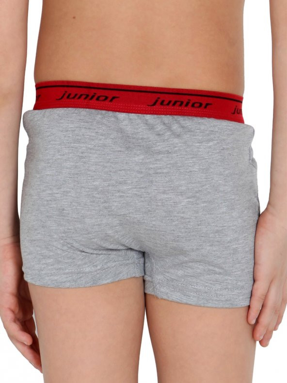Erkek Çocuk Boxer - 3