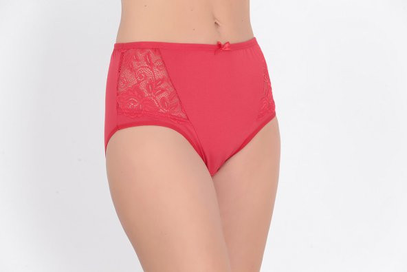 Dantel ve Fiyonk Detaylı Kadın Günlük Külot Kırmızı - Resim 2