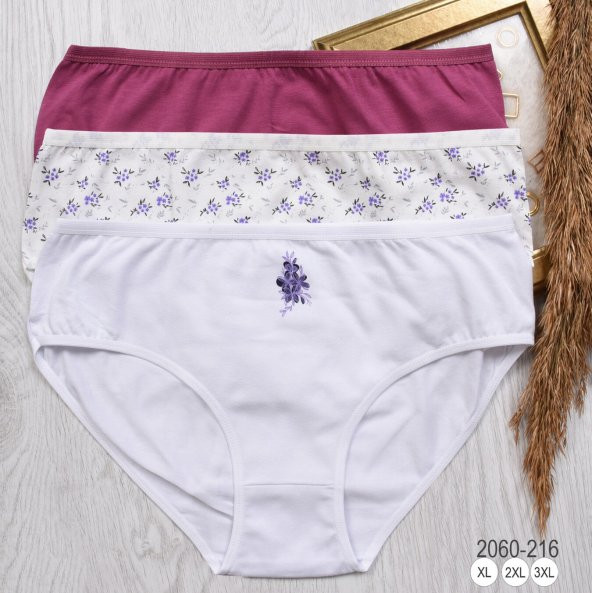 BAYAN KÜLOT-BİG SİZE (3li Paket) ürün görseli