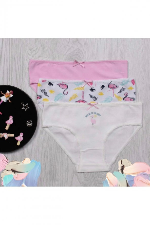 Kız Çocuk Desenli 3Lü Külot ürün görseli