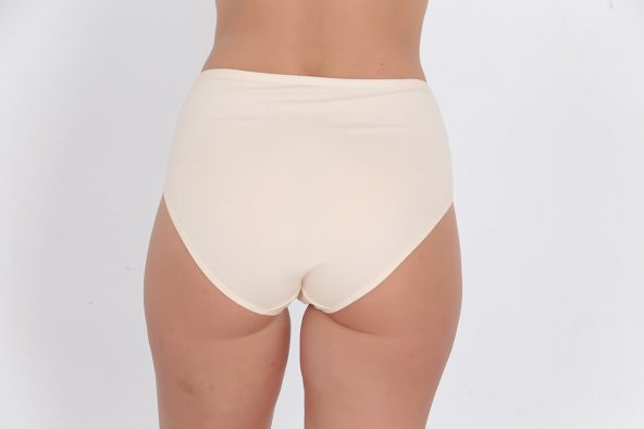 Ön ve Arka Dantel Detaylı Günlük Kadın Külot Ten - Resim 3