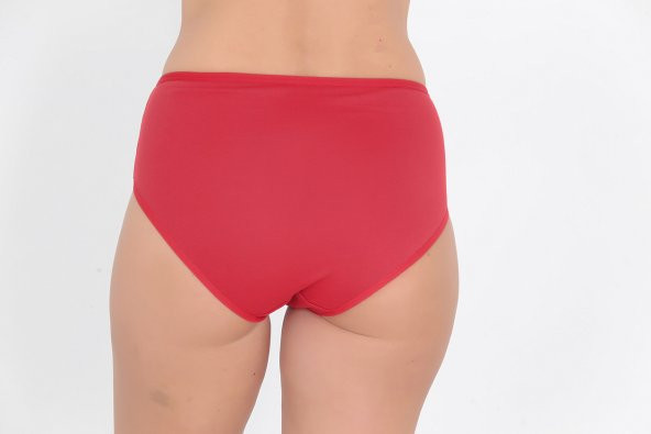 Ön Kısmı Desenli Kadın Günlük Külot Kırmızı - Resim 3