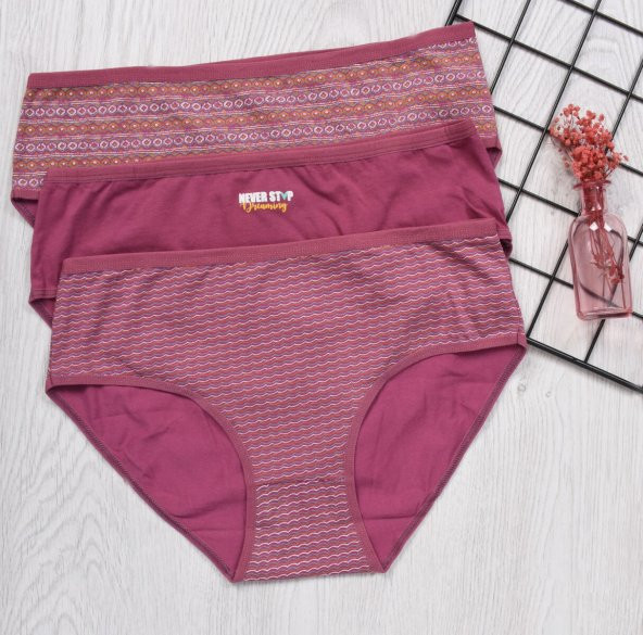 BAYAN KÜLOT-BİG SİZE (3li Paket) ürün görseli