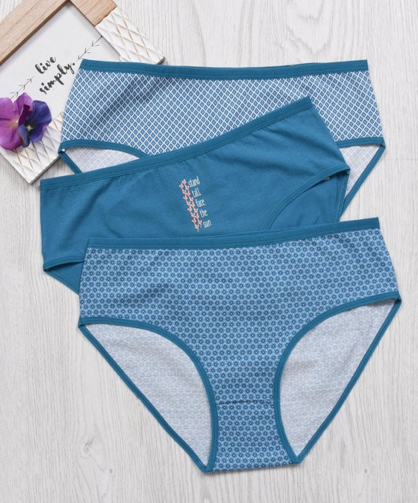 BAYAN KÜLOT-BİG SİZE (3li Paket) ürün görseli