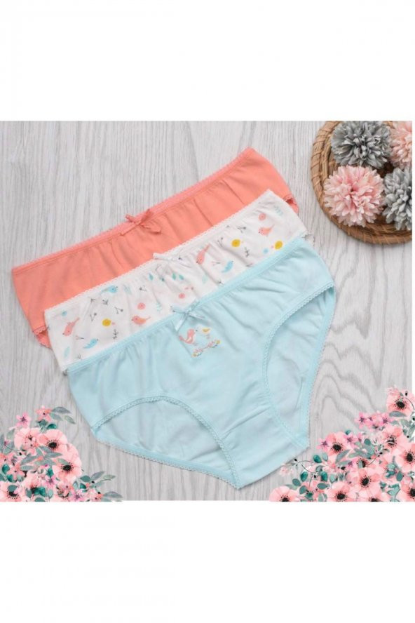 Kız Çocuk Desenli 3Lü Külot ürün görseli