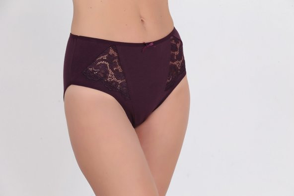 Dantel Detaylı Günlük Kadın Külot Lila - Resim 2