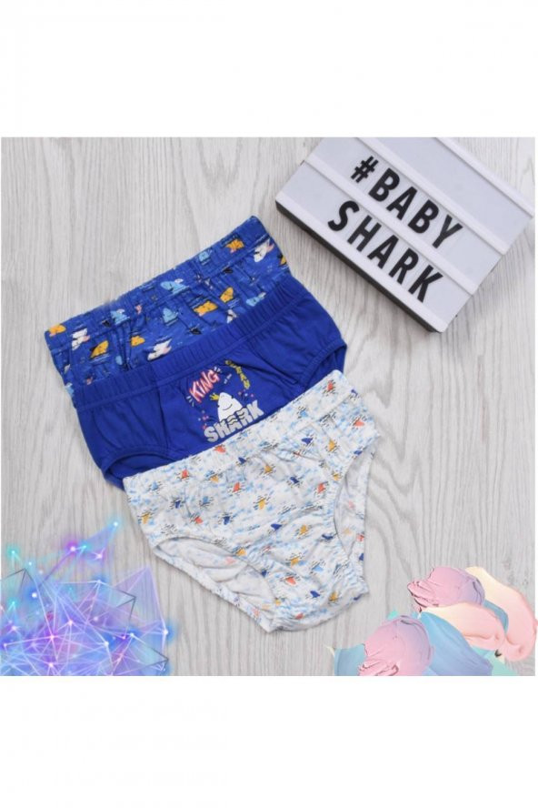 Erkek Çocuk Desenli 3Lü Külot ürün görseli