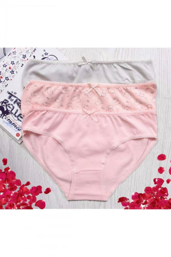 Kız Çocuk Desenli 3Lü Külot ürün görseli