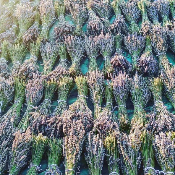 2 Demet Doğal lavanta demeti - 2