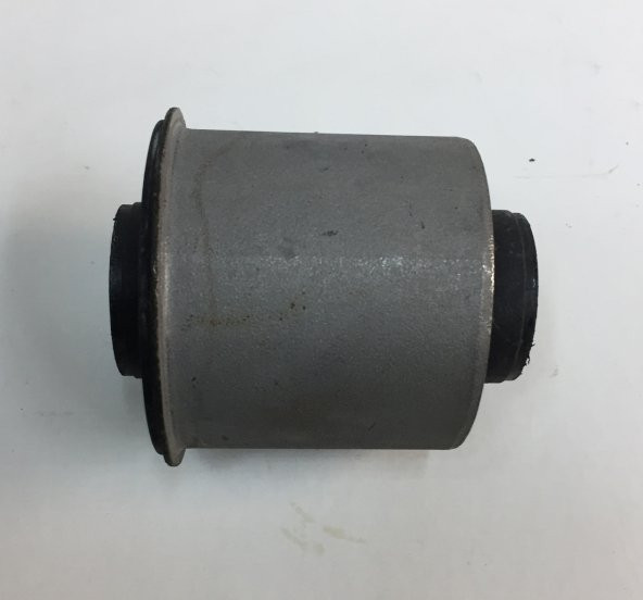 KALOS DİNGİL BURCU ARKA