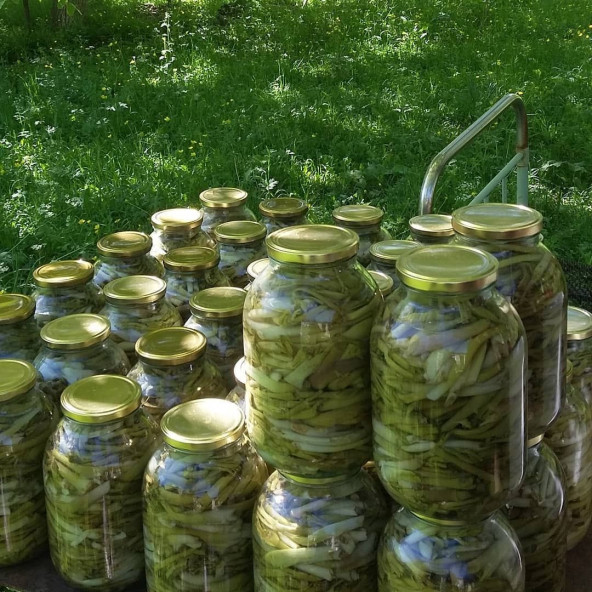 DoğuMark - Çakşır Salamura - (2 Kg) - 4