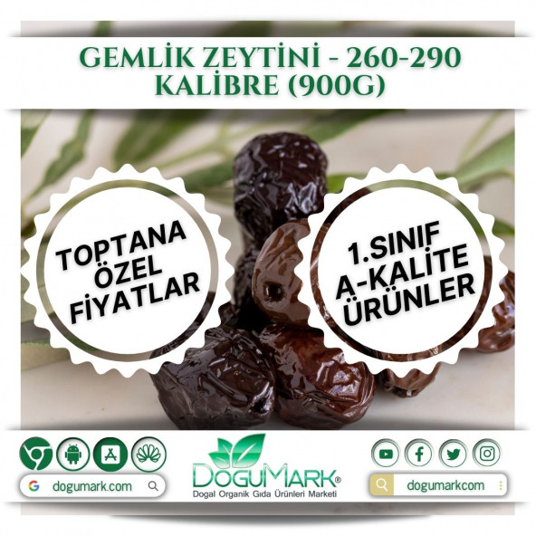 DoğuMark - Gemlik Zeytini - 260-290 Kalibre (1 Kg)