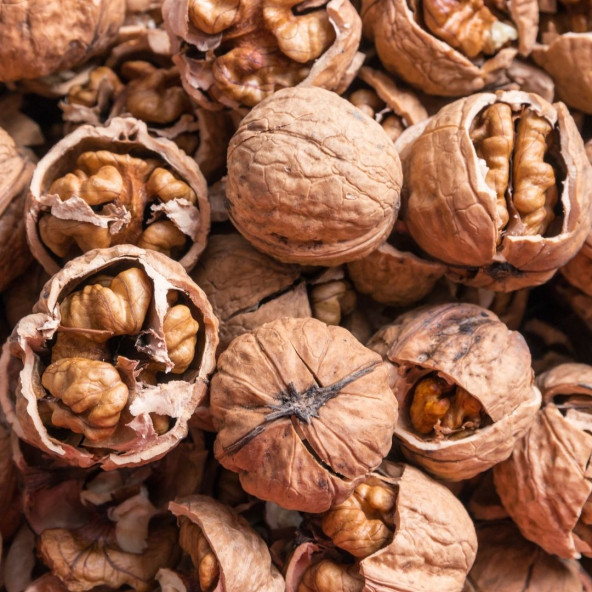 DoğuMark - Kabuklu Ceviz (1 Kg) - 2