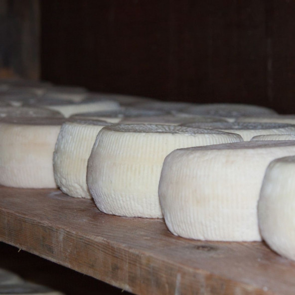 DoğuMark - Keçi Peyniri (1 Kg) - 3