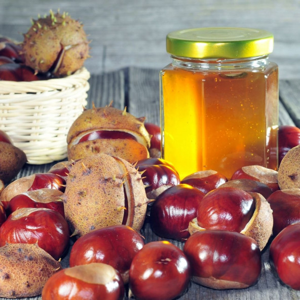 DoğuMark - Kestane Balı - Süzme (850g) - 2