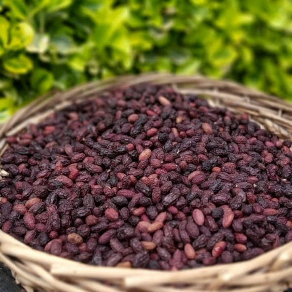 DoğuMark - Kızılcık Kurusu - Çekirdekli (1 Kg) - 4