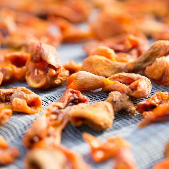 DoğuMark - Kuru Kayısı Kabuk - 1 Kg (Hoşaflık Aşma - Ekşi) - 3