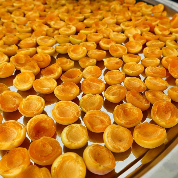 DoğuMark - Kuru Kayısı Kabuk - 1 Kg (Hoşaflık Aşma - Tatlı) - 4