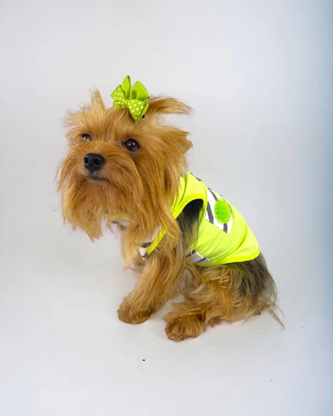 Lime Fuzz Atlet Köpek Kıyafeti  Köpek Elbisesi - 5