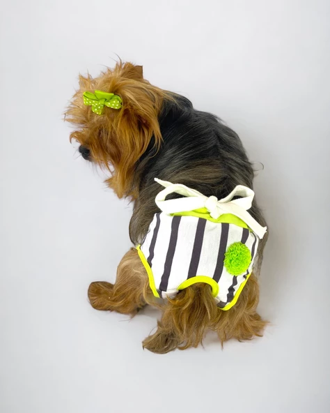 Lime Fuzz Kemique's Secret Köpek İç Çamaşırı Regl Külot Don - 3