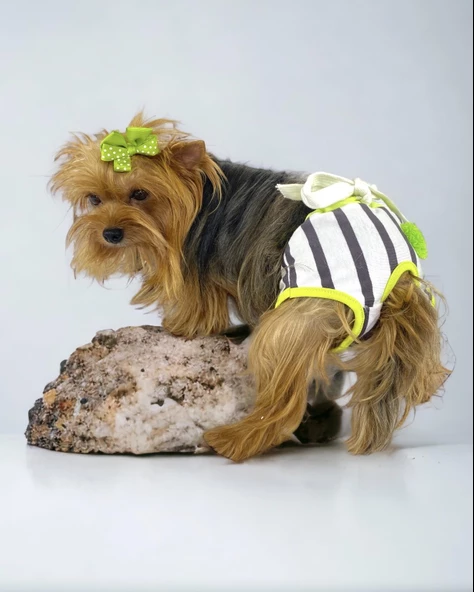 Lime Fuzz Kemique's Secret Köpek İç Çamaşırı Regl Külot Don - 2