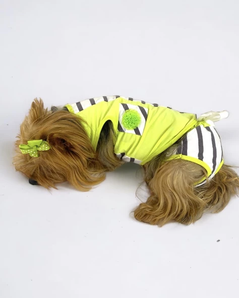 Lime Fuzz Tişört ve İç Çamaşırı Set Köpek Kıyafeti Köpek Kostümü - 5