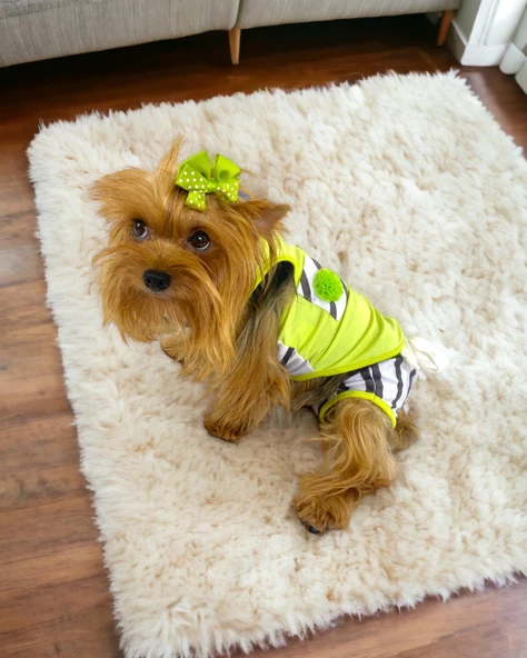 Lime Fuzz Tişört ve İç Çamaşırı Set Köpek Kıyafeti Köpek Kostümü - 3