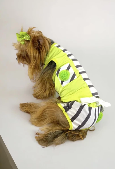 Lime Fuzz Tişört ve İç Çamaşırı Set Köpek Kıyafeti Köpek Kostümü - 8