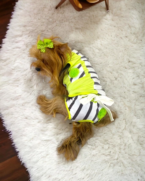 Lime Fuzz Tişört ve İç Çamaşırı Set Köpek Kıyafeti Köpek Kostümü - 2