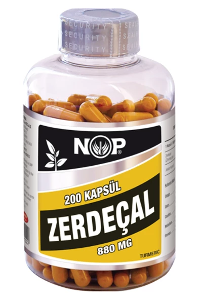 Zerdeçal Kapsül 200 x 880 mg Curcumin Kurkumin Tur