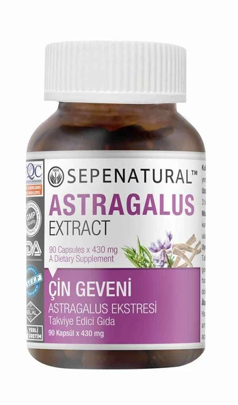 Astragalus Root Extract 90 Kapsül Çin Geveni Ekstresi - 2