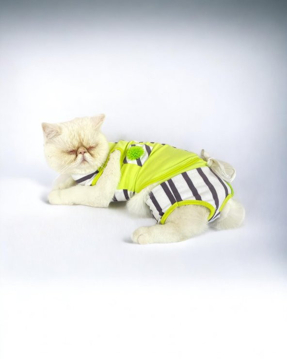 Lime Fuzz Tişört ve İç Çamaşırı Set Kedi Kıyafeti Kedi Kostümü